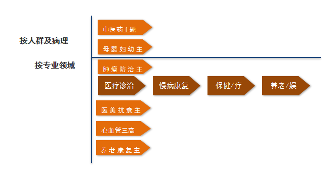 垂直業(yè)態(tài)的醫(yī)療健康主題城